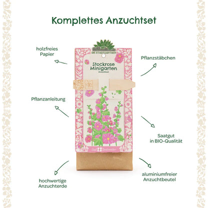 Anzuchtset – Minigarten Stockrose