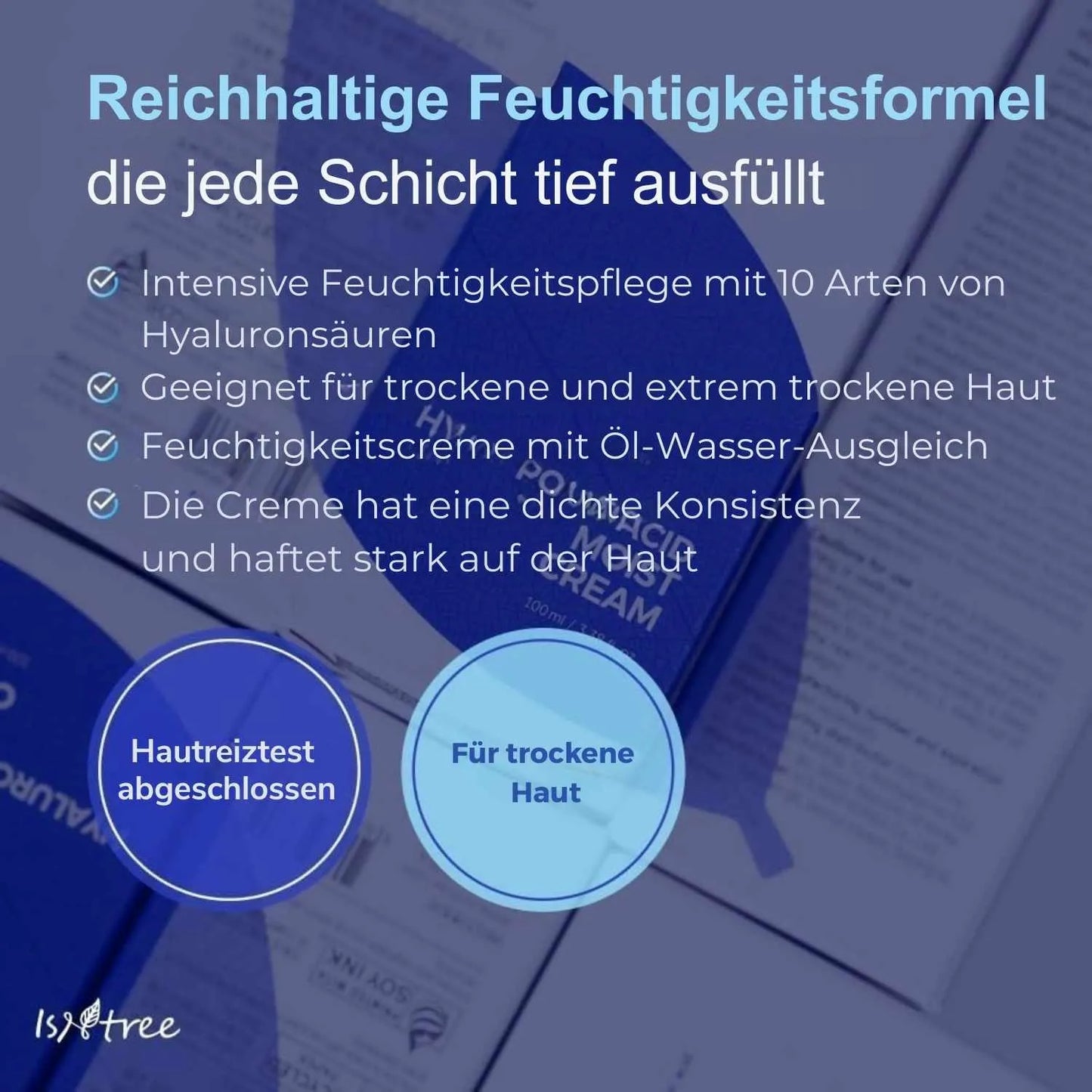 Isntree Hyaluronic Acid Moist Cream 100 ml