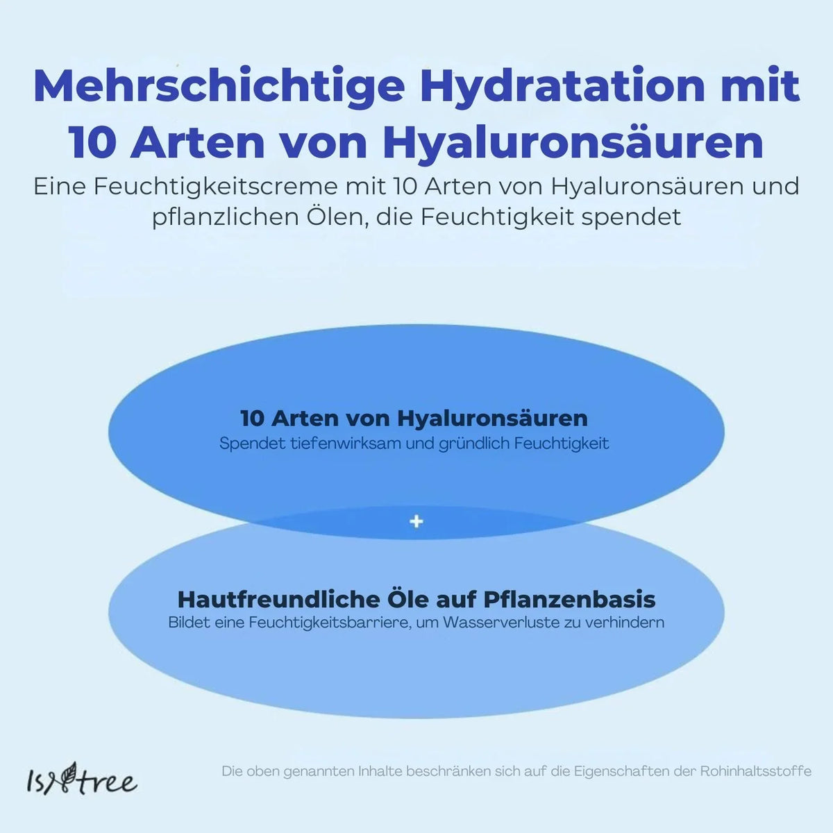 Isntree Hyaluronic Acid Moist Cream 100 ml