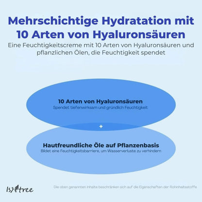 Isntree Hyaluronic Acid Moist Cream 100 ml