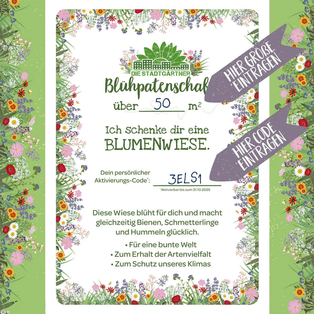 Patenschaft für 10 m² Blumenwiese zum Ausdrucken
