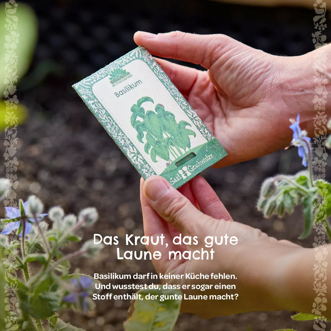 BIO-Saatgut Basilikum