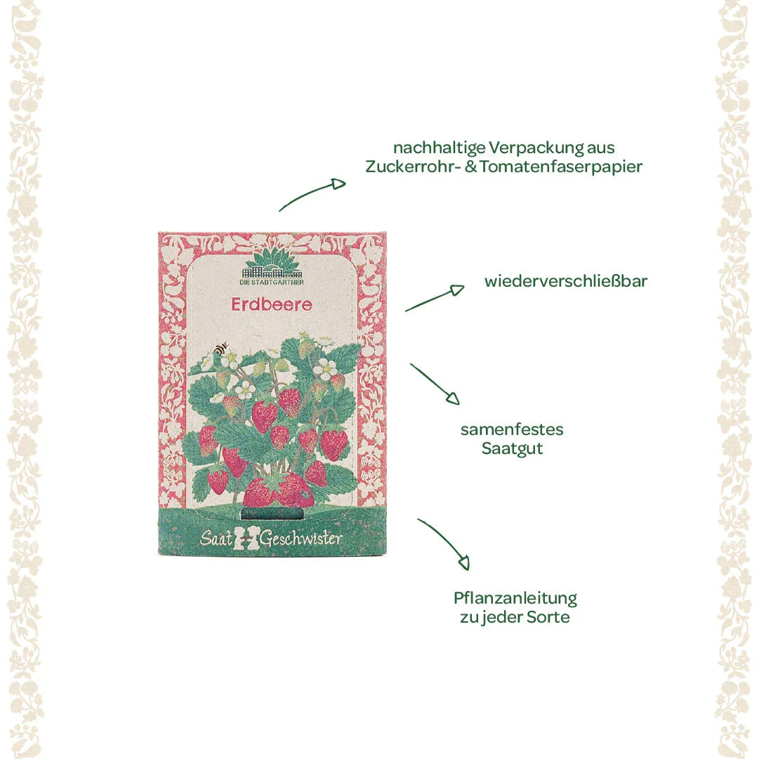 Saatgut Erdbeere