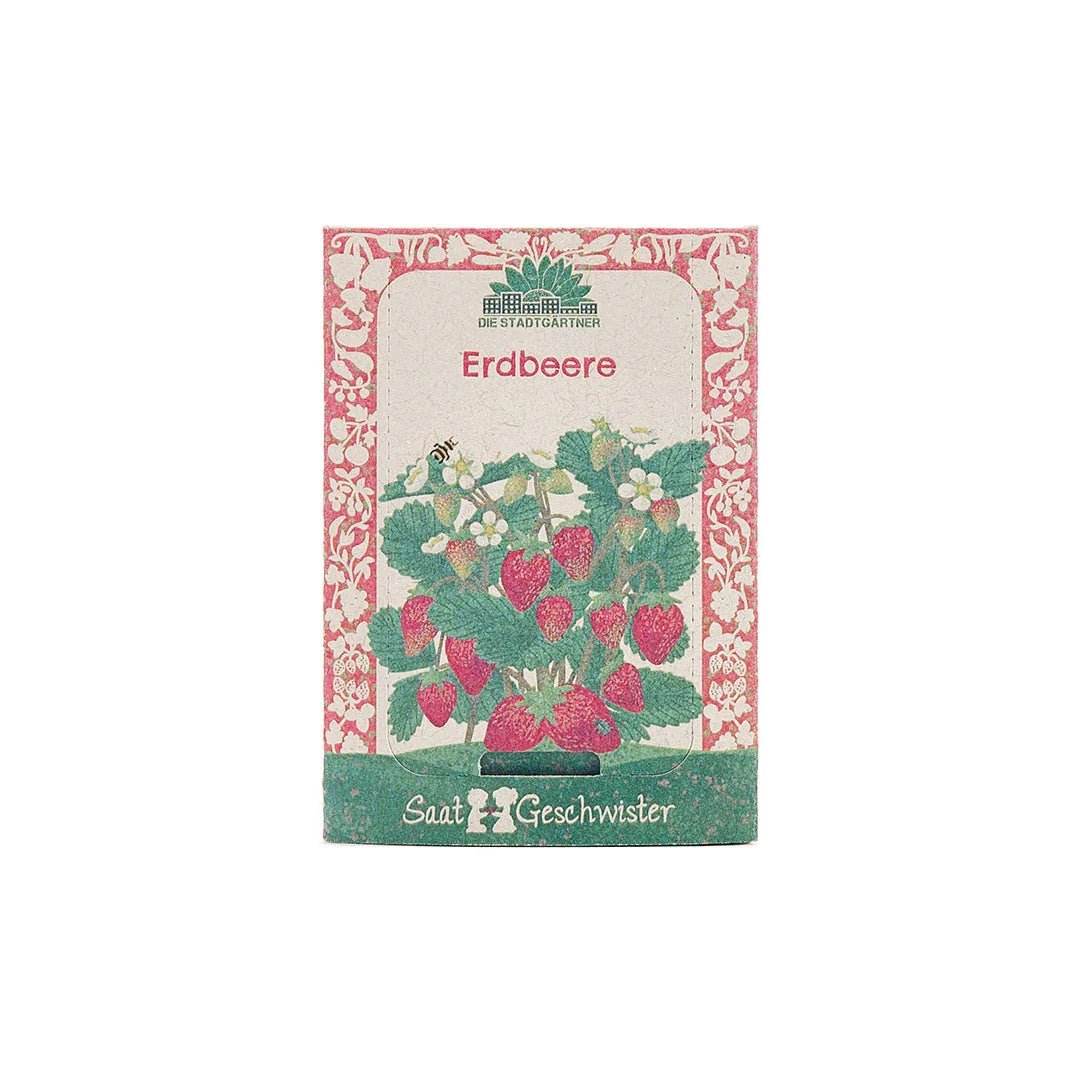 Saatgut Erdbeere