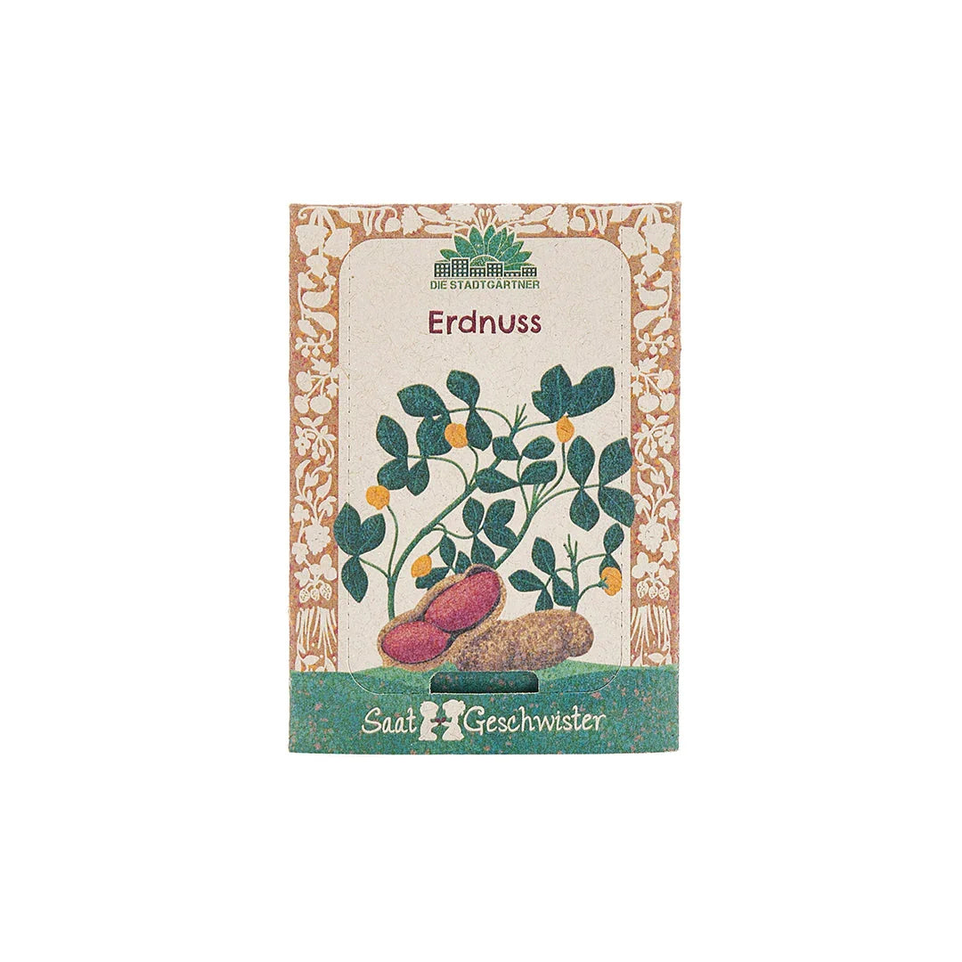 Saatgut Erdnuss