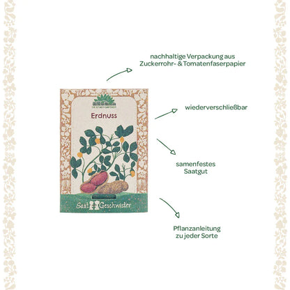 Saatgut Erdnuss