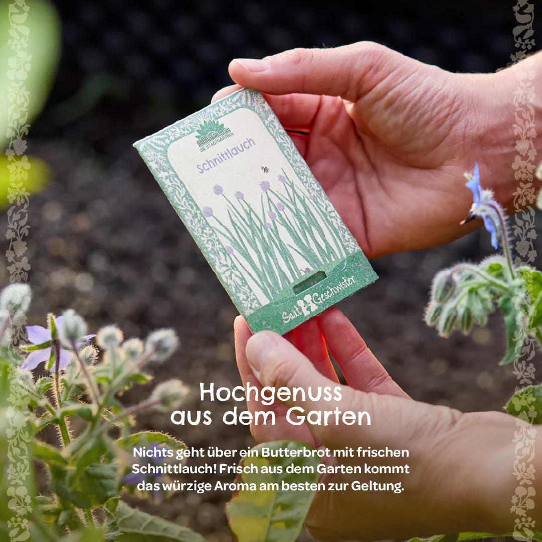 BIO-Saatgut Schnittlauch