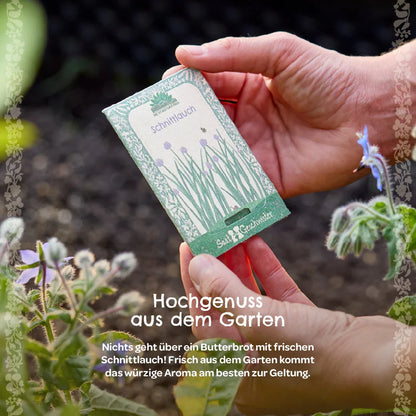 BIO-Saatgut Schnittlauch