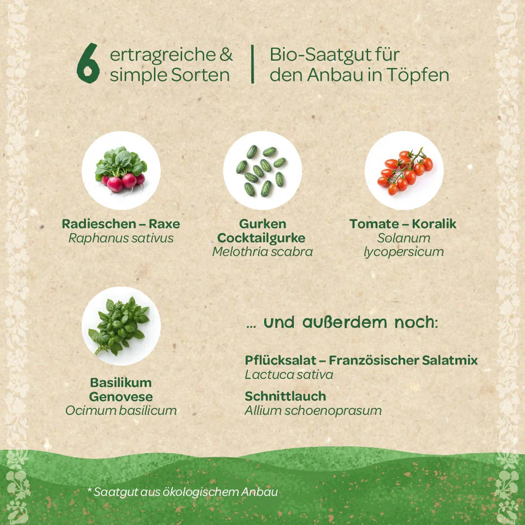 BIO-Saatgut-Set 
