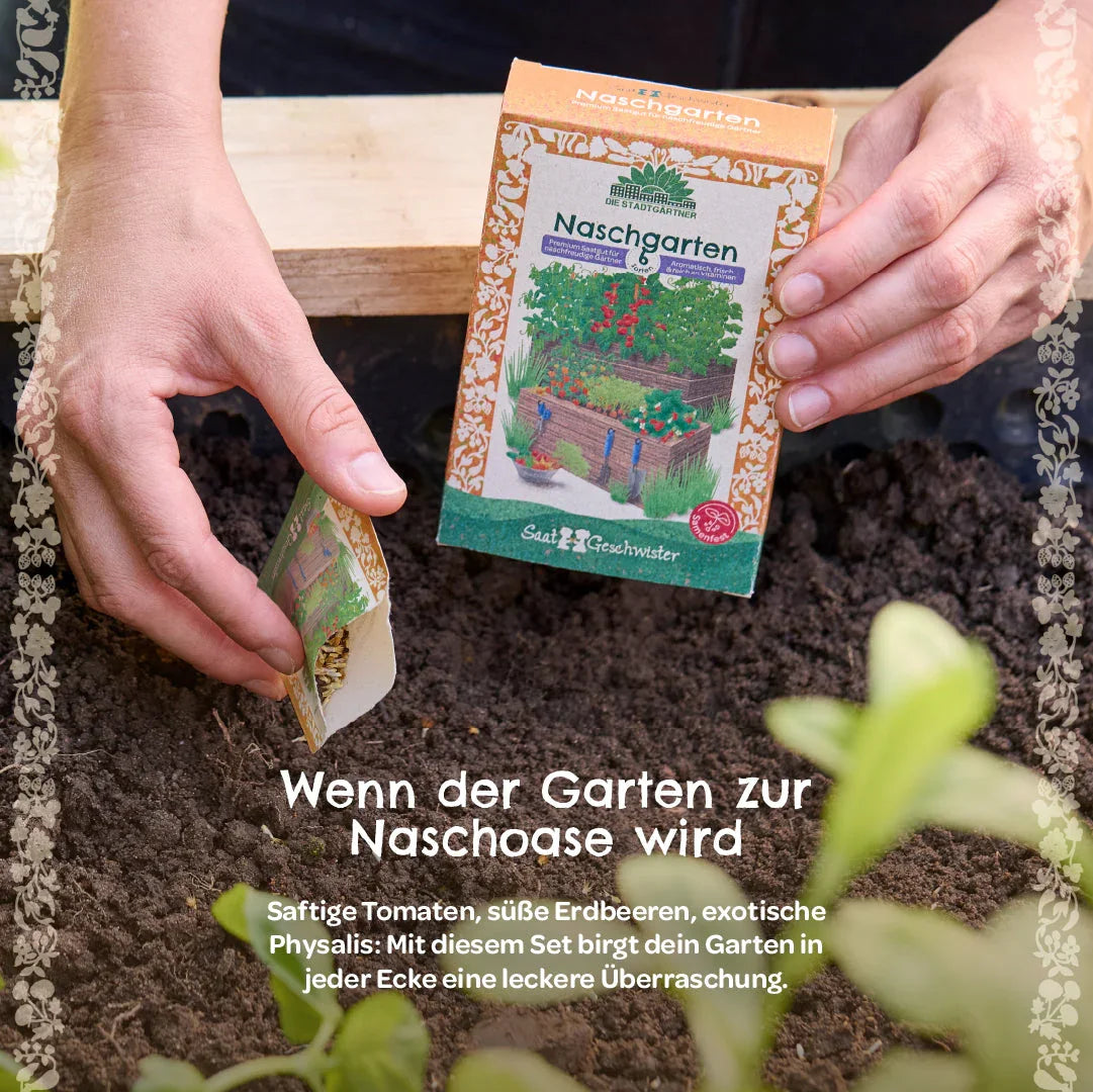 BIO-Saatgut-Set 