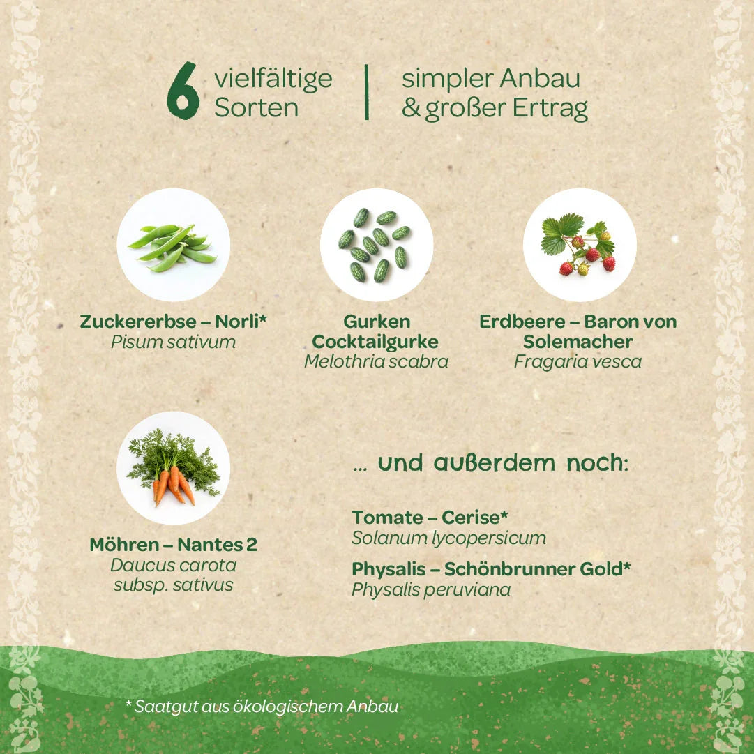 BIO-Saatgut-Set 