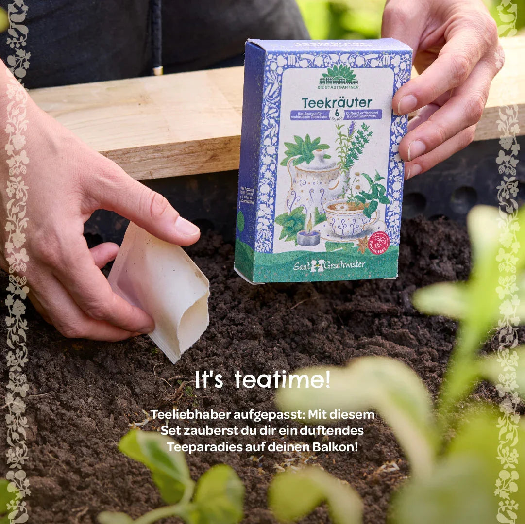 BIO-Saatgut-Set "Teekräuter"