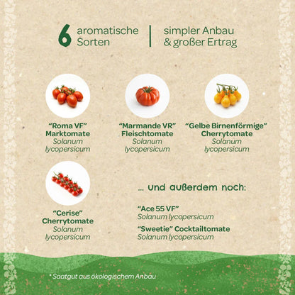 BIO-Saatgut-Set "Tomaten"