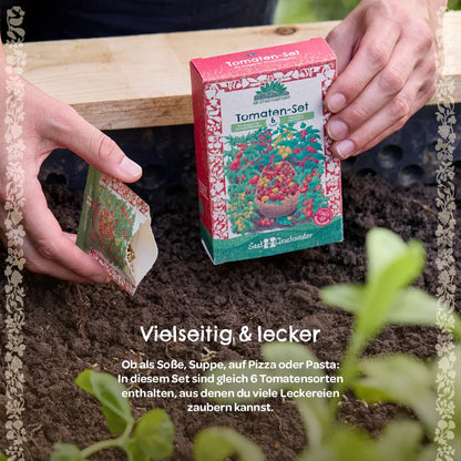 BIO-Saatgut-Set "Tomaten"