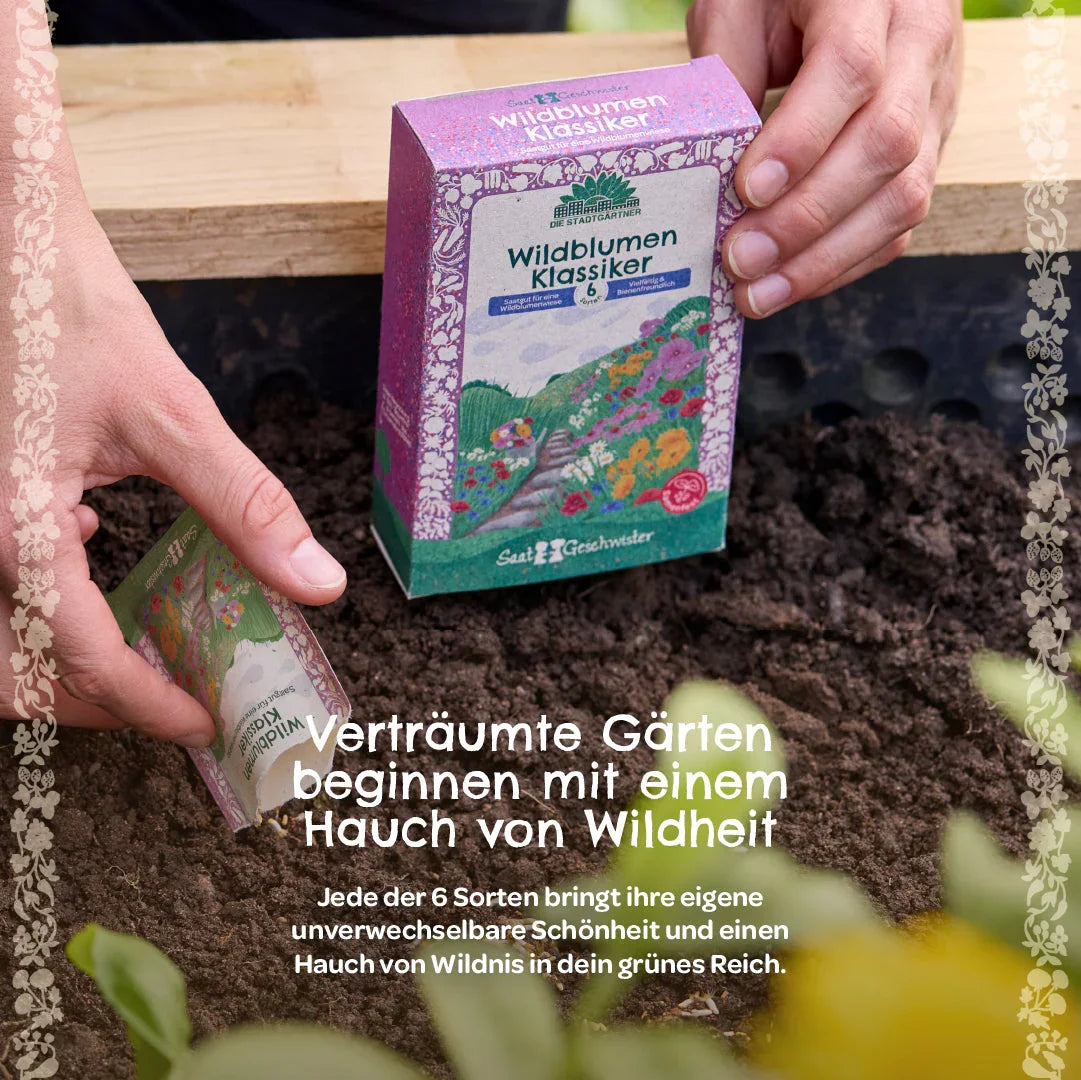 Saatgut-Set "Wildblumen"