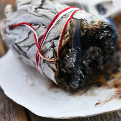 White Sage Bundle