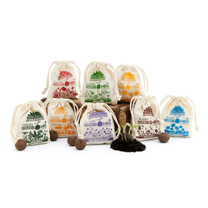 Samenbomben-Komplettpaket – 8 Sorten