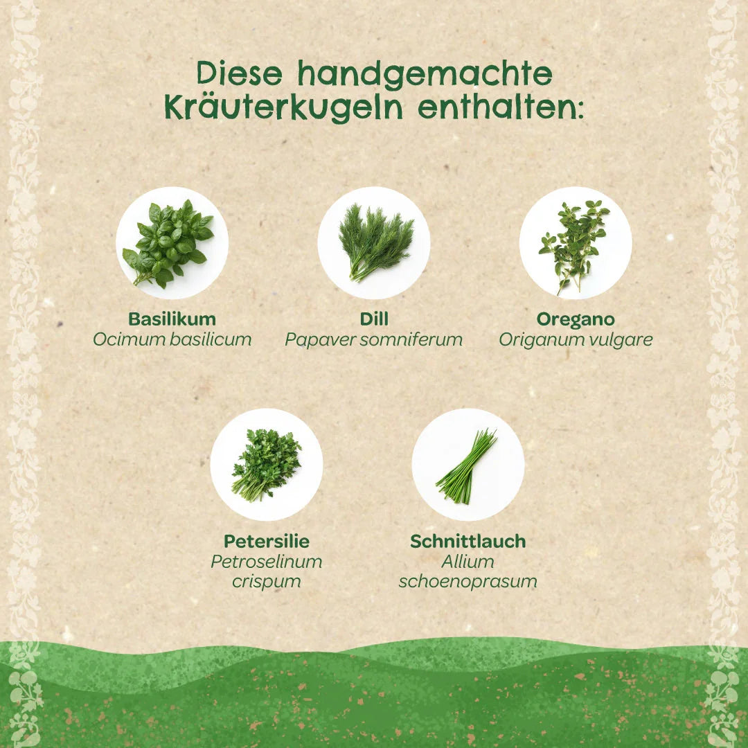 Kräuterkugeln – Saatkugeln mit Kräutern