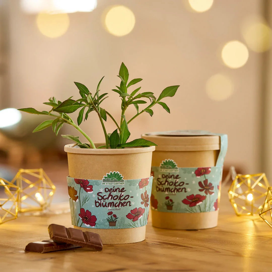 Schokoblumen aus dem Becher