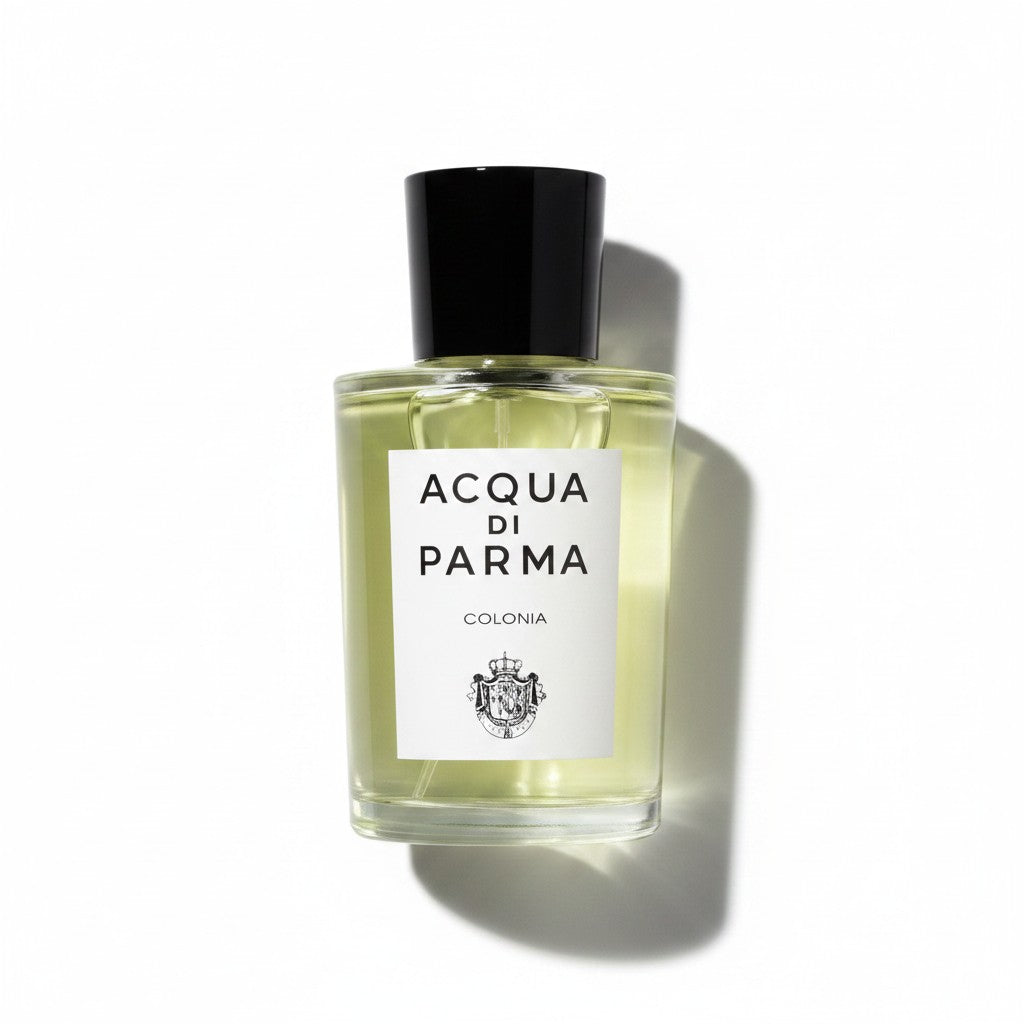 screenshot-2026-07-24-000838-draufsichtjpg-33974 - BLACK ELIXIR - Maison de Parfum