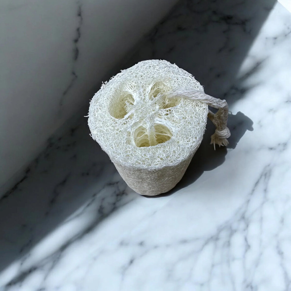 Weicher Luffa-Schwamm