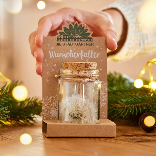 Großer Wunscherfüller – Pusteblume im Glas